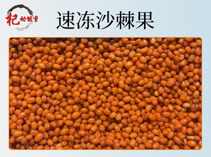 速凍沙棘果